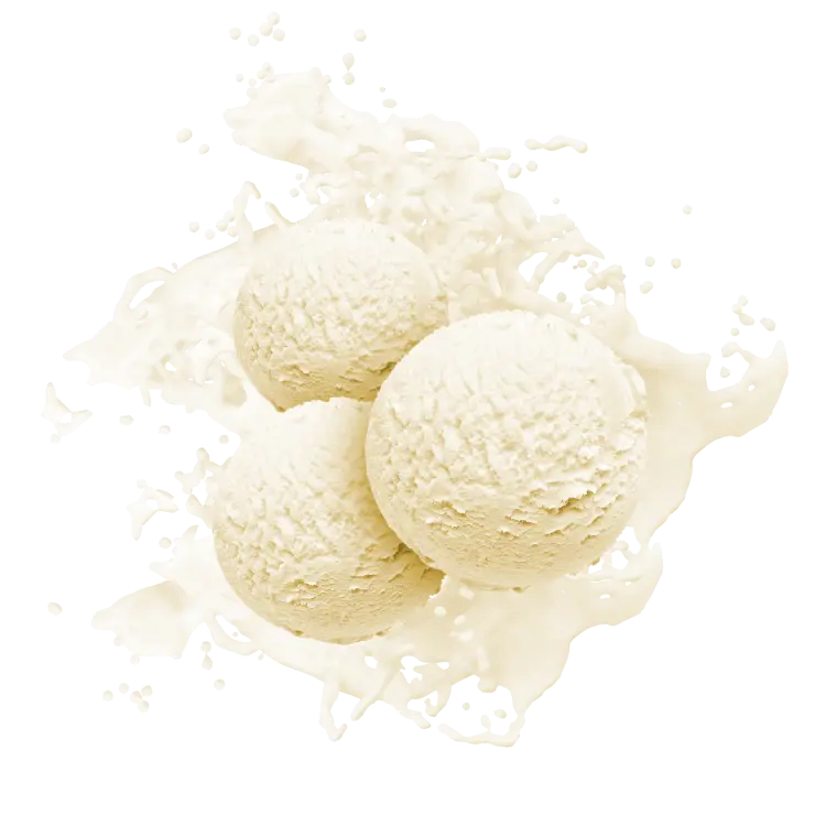 Splash Image