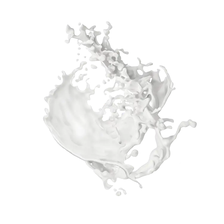 Splash Image
