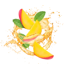 Lemonade Style Mango Mojito / 600g