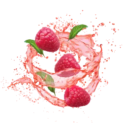 Lemonade Style Raspberry Mojito / 600g