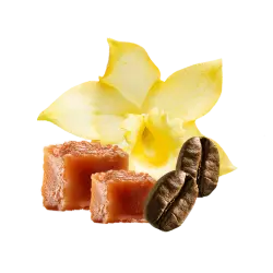 Crème Brûlée / 500g