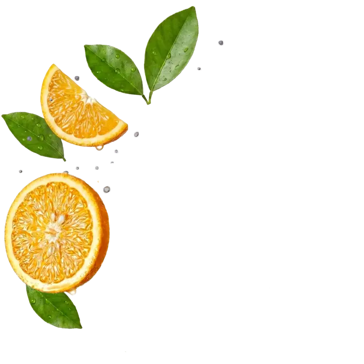 Splash Image