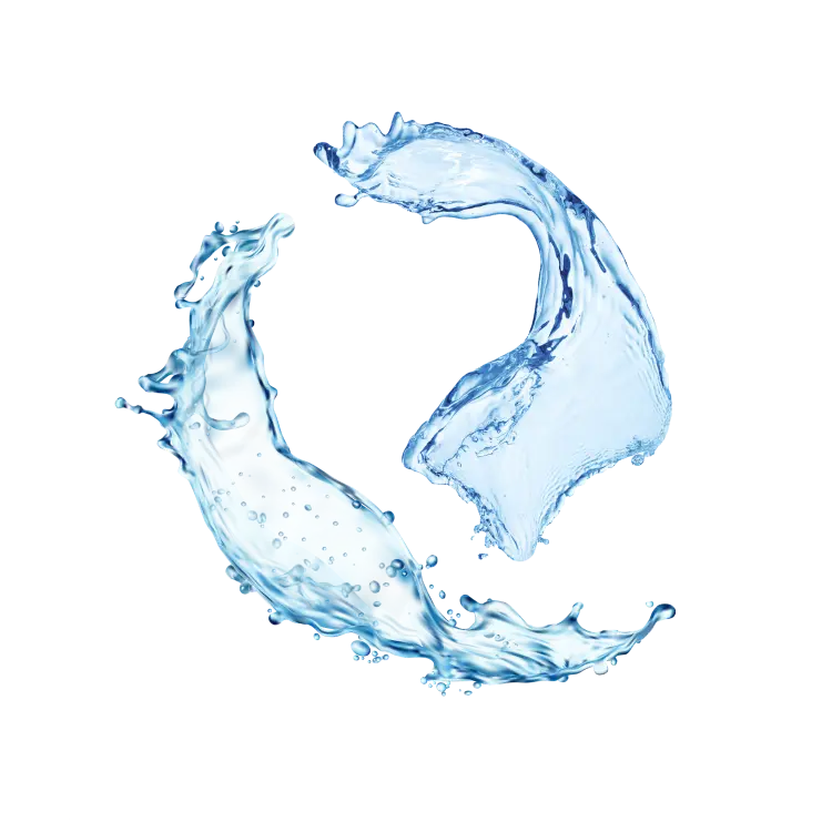 Splash Image