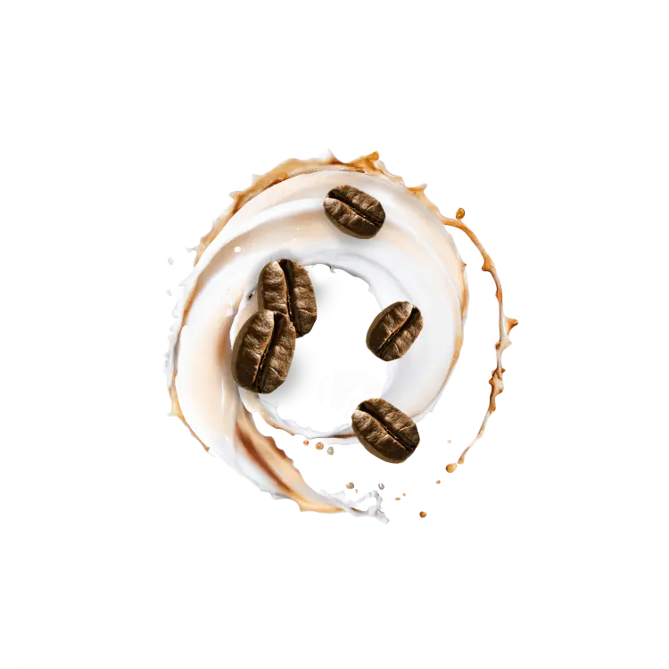 Splash Image
