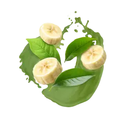 Creamy Banana / 500g