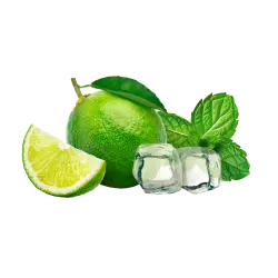 Lemonade Style Virgin Mojito / 600g