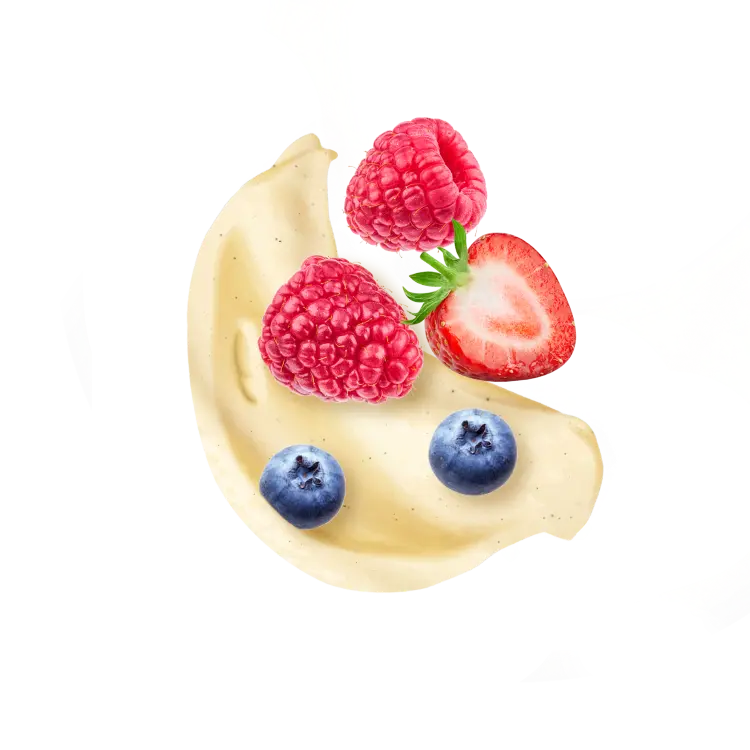 Splash Image