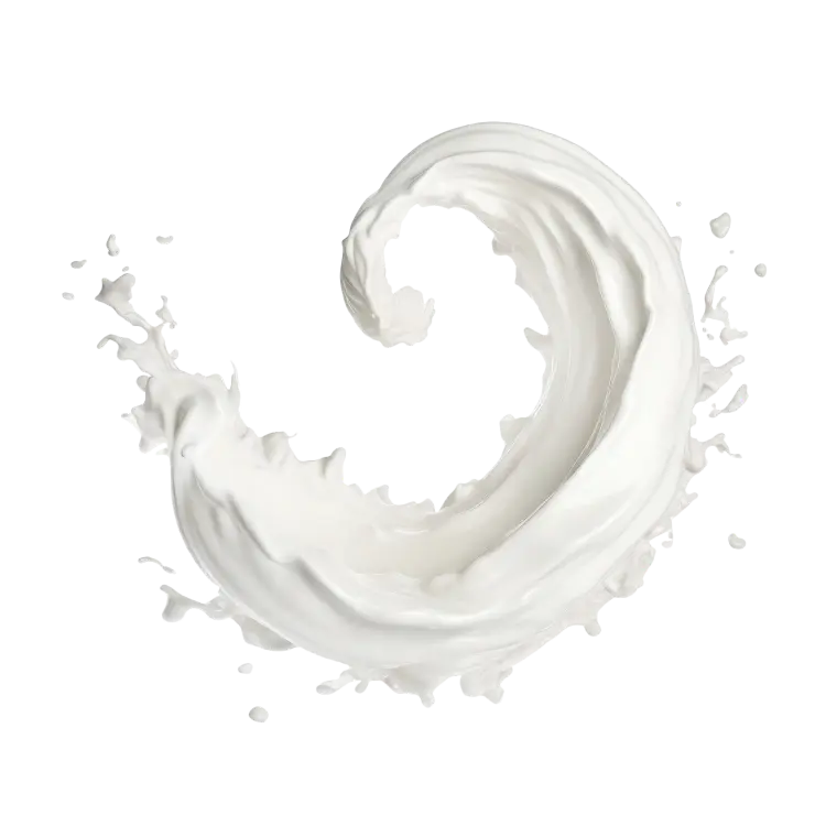 Splash Image