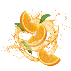 Juice Style Orange / 600g