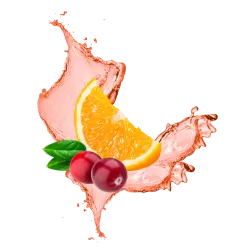 Winter Cranberry Moreperello / 65ml